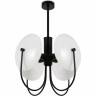 Люстра потолочная FREYA ELLIPSE FR5320PL-04B