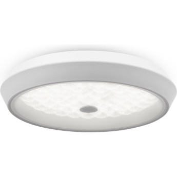 Потолочный светильник FREYA CELLS FR10012CL-L24W